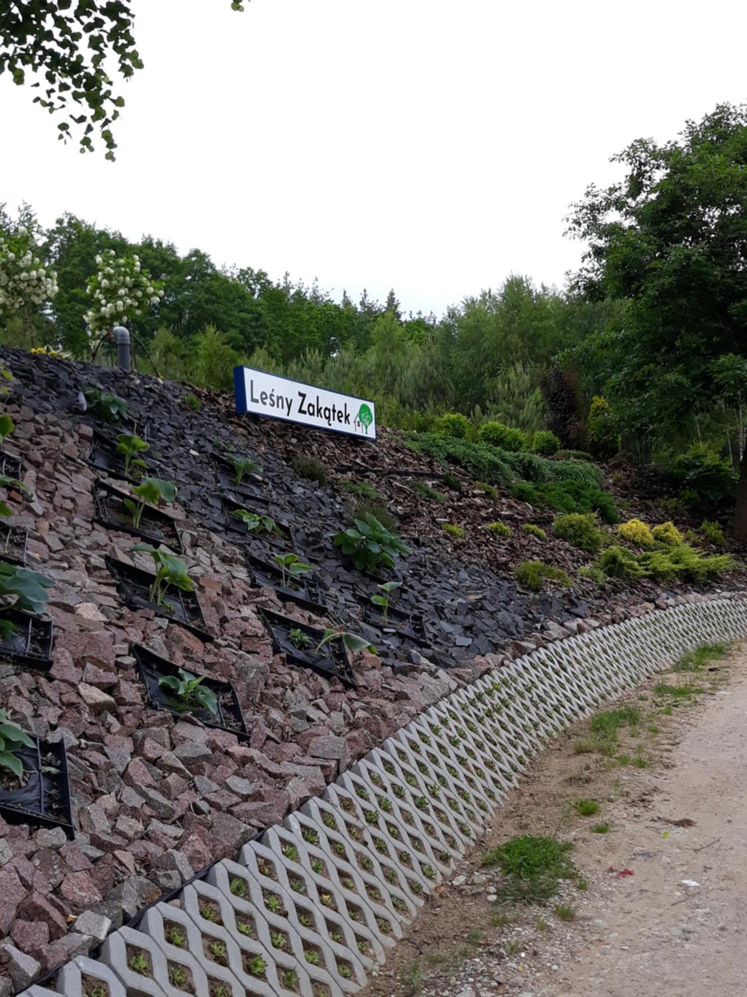 Lesny Zakatek-Domek Sosna Parchowo Exterior foto